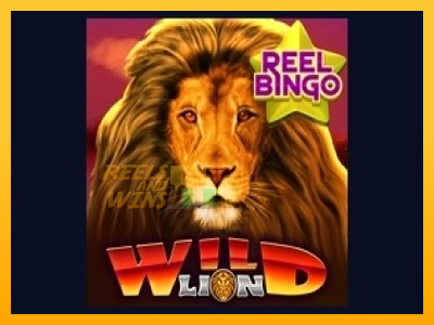 Fíor spleodar i meaisín sliotán Wild Lion with Reel Bingo