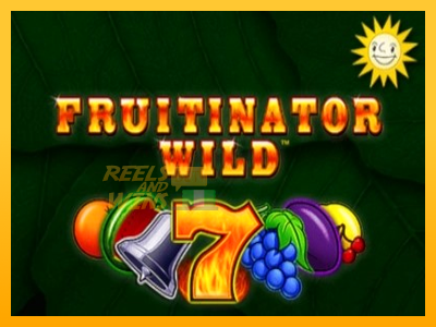 Fíor spleodar i meaisín sliotán Fruitinator Wild