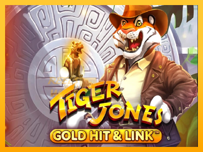 Fíor spleodar i meaisín sliotán Gold Hit & Link: Tiger Jones